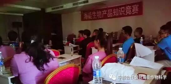 知識競賽爭先鋒，比學趕超展風采