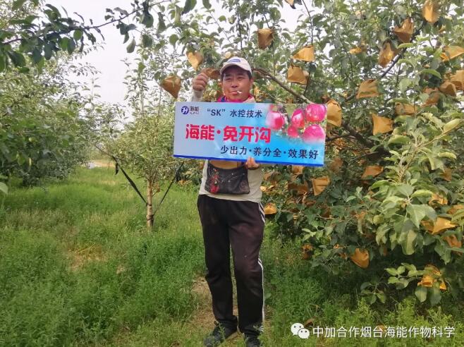 LUTUBE在线观看免费底肥免開溝 用效果說話！