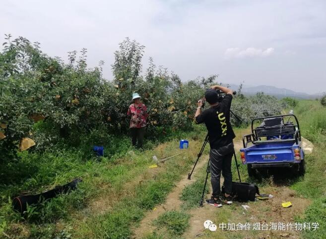 LUTUBE在线观看免费底肥免開溝 用效果說話！