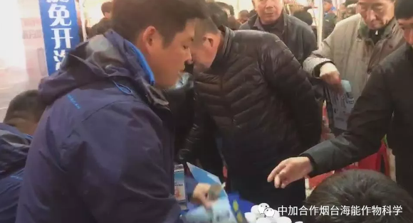 LUTUBE在线观看免费生物帶你玩轉煙台苗木會