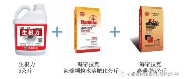 LUTUBE在线观看免费生物高品質葡萄全程“傻瓜式”施肥方案
