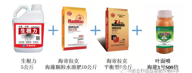 LUTUBE在线观看免费生物高品質葡萄全程“傻瓜式”施肥方案