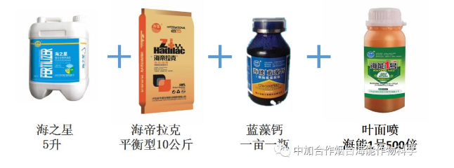 LUTUBE在线观看免费生物高品質葡萄全程“傻瓜式”施肥方案