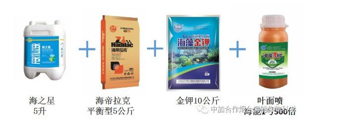 LUTUBE在线观看免费生物高品質葡萄全程“傻瓜式”施肥方案