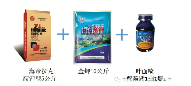 LUTUBE在线观看免费生物高品質葡萄全程“傻瓜式”施肥方案
