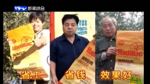 蘋果樹12月管理技術要點！抓緊時間看