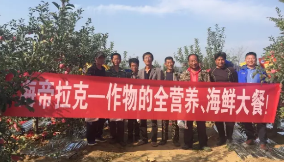 蘋果樹12月管理技術要點！抓緊時間看