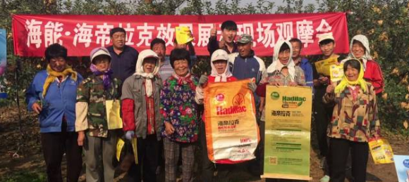蘋果樹12月管理技術要點！抓緊時間看