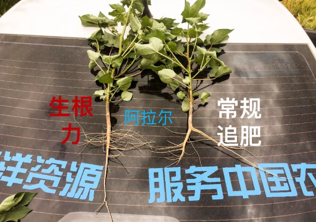 天山、戈壁、沙漠LUTUBE在线观看免费與你在這裏相遇