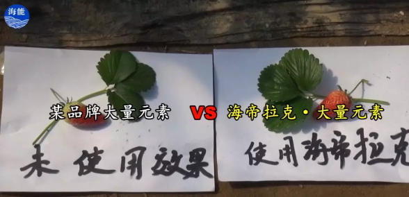 水肥一體化不止是節水、節肥！還有這功效！