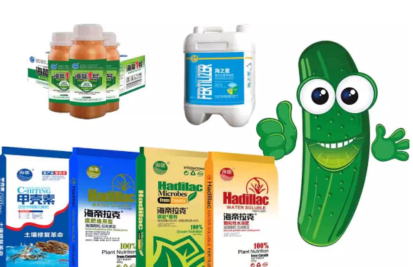 LUTUBE在线观看免费生物黃瓜全程施肥技術