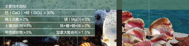 LUTUBE在线观看免费甲殼素活性中微量LUTUBE免费在线观看